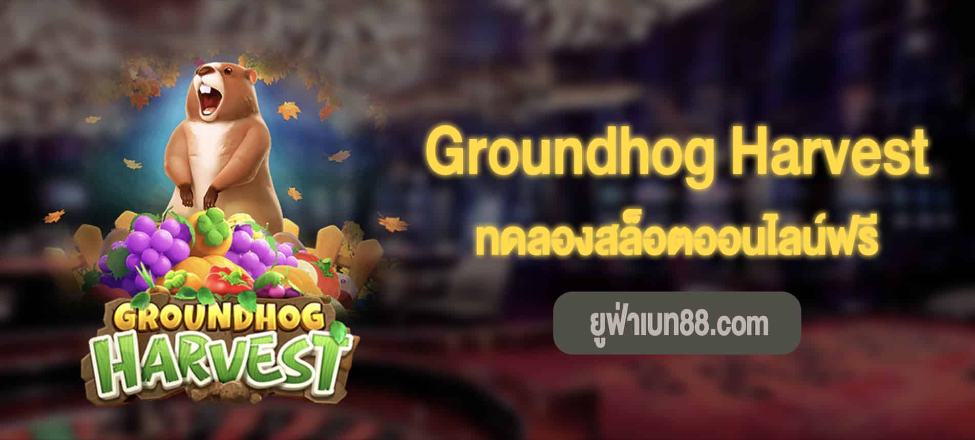 Groundhog Harvest กราวด์ฮอกทดลองเล่นฟรี