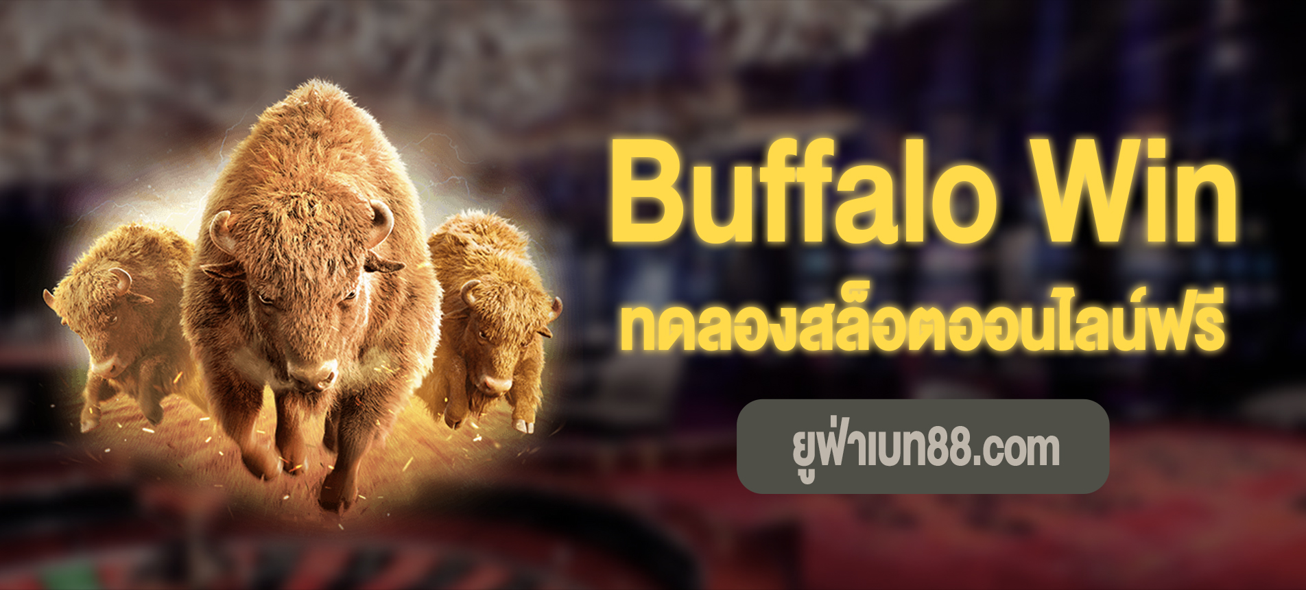 Buffalo Win สล็อตวัวกระทิงทดลองเล่นฟรี